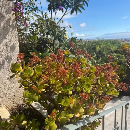 Lou Carou - Vue Et Baie De Villa